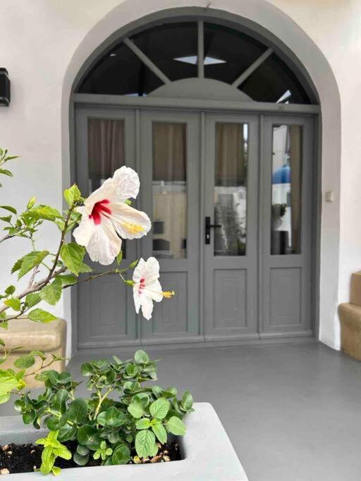 Antoniou Santorini Luxury Home Fira  Ngoại thất bức ảnh